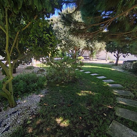 Quinta Camargue Bed & Breakfast Cela Velha Exterior photo